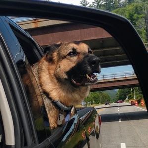 Meet your Posher, Amybeth